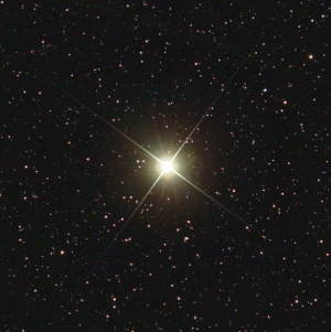 фото звезды